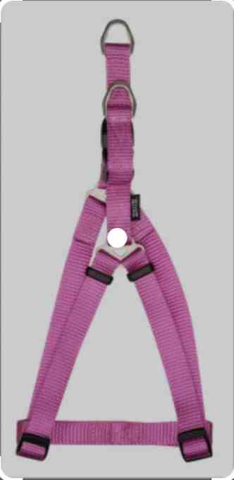 99677 PRETAL CLASICO ZEUS T M COLOR FUCSIA